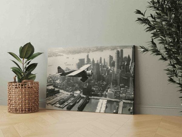 Dariaus ir Girėno (Lituanica) skrydis virš Niujorko (JG00001720) - Image 2