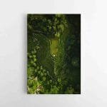 Ryžių kalnų fotografija (JG00000181)