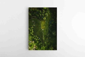 Ryžių kalnų fotografija (JG00000181)