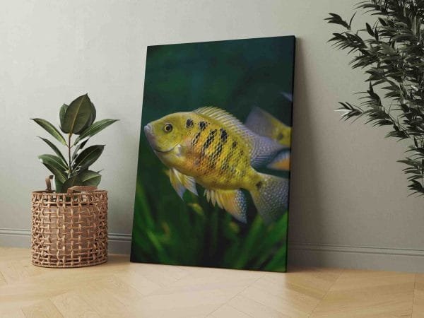 Ryškiai Auksinė žuvelė (JG00001861) - Image 2