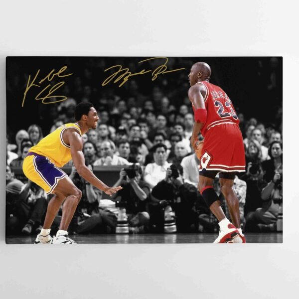 NBA poster Jordan Kobe