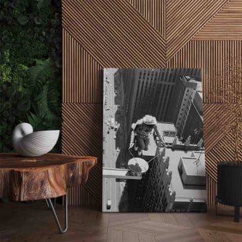 Šuolis per šokdynę ant dangoraižio (JG00001909) - Image 2