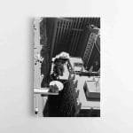 Šuolis per šokdynę ant dangoraižio (JG00001909)