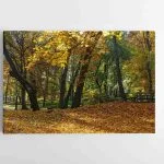 Rudeninis miesto parkas