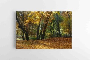 Rudeninis miesto parkas (JG00000200)