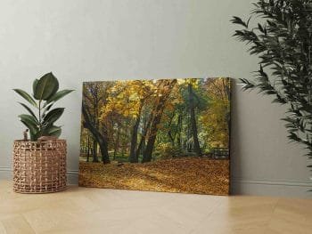 Rudeninis miesto parkas (JG00000200) - Image 2