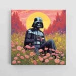 Dartas veideris starwars