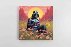Dartas veideris starwars