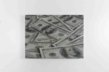 100 Dolerių Banknotai (JG00000256)