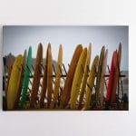 Banglentės Paplūdimyje (JG00000275)