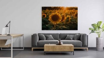 Saulėgrąžų laukas (JG00000421) - Image 2