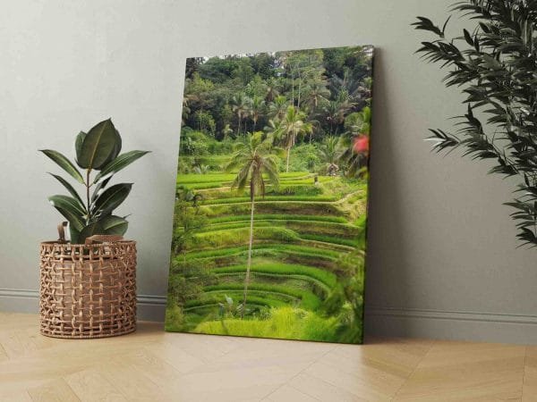 Ryžių laukai Indonezijoje (JG00000488) - Image 2