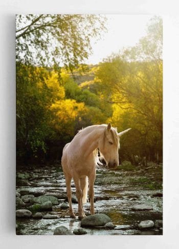 Šilta Vienaragio nuotrauka (JG00000492) - Image 2