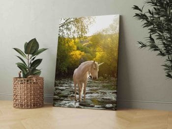 Šilta Vienaragio nuotrauka (JG00000492) - Image 3