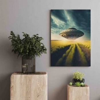 NSO Laukuose (JG00000655) - Image 2