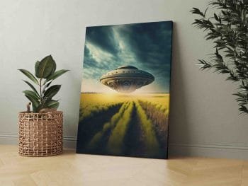 NSO Laukuose (JG00000655) - Image 3