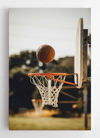 Taiklus metimas į krepšį (JG00000682) - Image 2