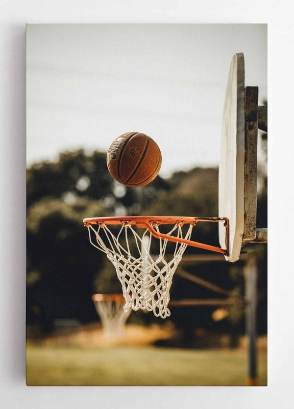 Taiklus metimas į krepšį (JG00000682) - Image 2