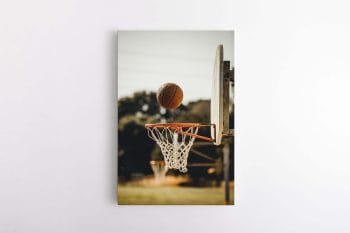 Taiklus metimas į krepšį (JG00000682)