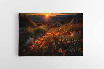 Saulėlydis kalnuose (JG00000685)