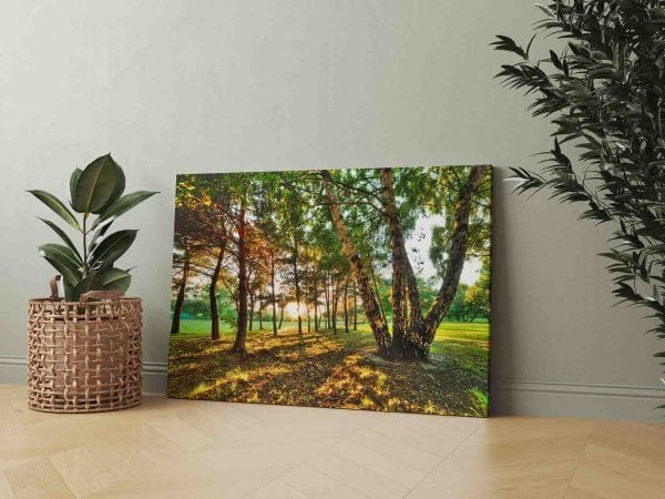 Medžių parkas (JG00000686) - Image 2