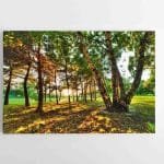 Medžių parkas (JG00000686)