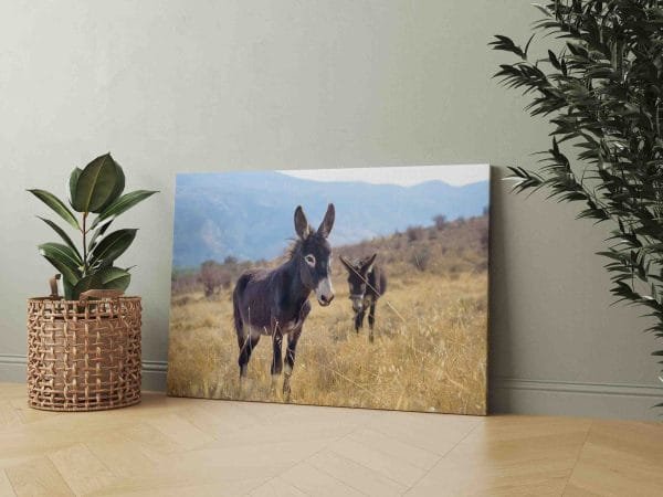 Asiliukai kalnuose (JG00000694) - Image 3