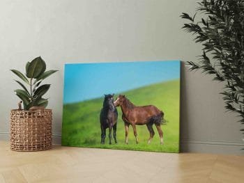 Nuostabūs Žirgai (JG00000695) - Image 2