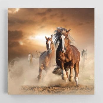 Laukiniai Žirgai (JG00000696) - Image 2