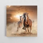 Laukiniai arkliai paveikslas