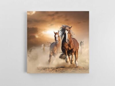 Laukiniai arkliai paveikslas