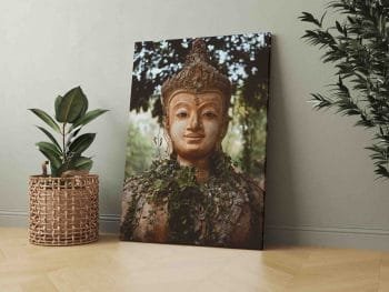 Budistinis Sargas (JG00000711) - Image 2