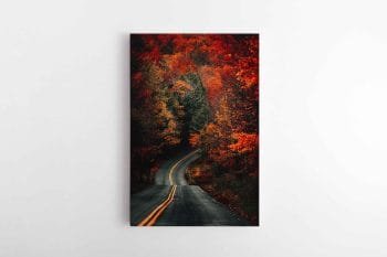 Rudeniškas Kelias miškuose (JG00000713)