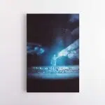 Poul Norton - Visitors