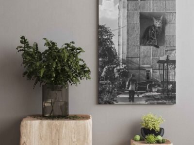 Paveikslas ant drobes - katiniukas