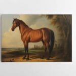 paveikslas arklys zirgas